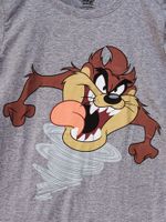 Camiseta-Infantil-Masculina-Taz-Mania---Cinza