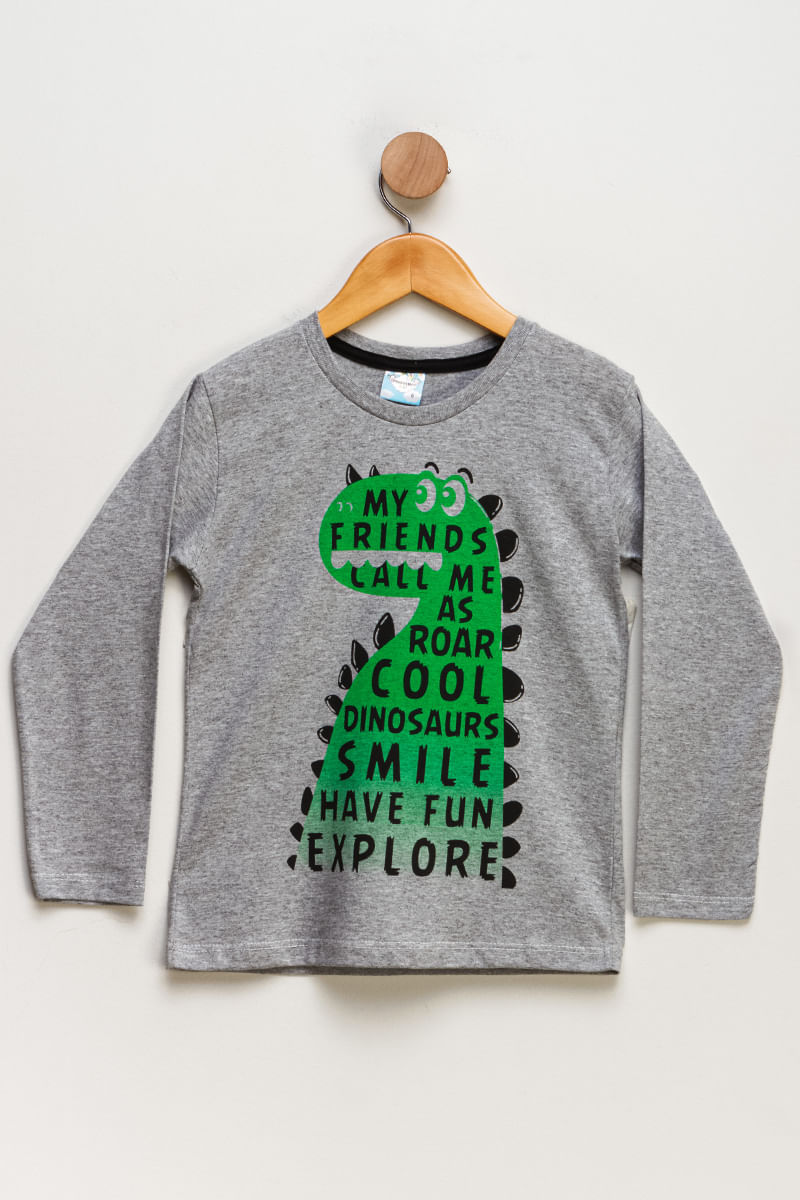 Camiseta-Infantil-Masculino-Dinossauro---Cinza