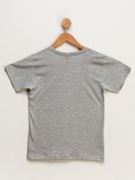 Camiseta-Juvenil-Masculino-Skate-Board---Cinza