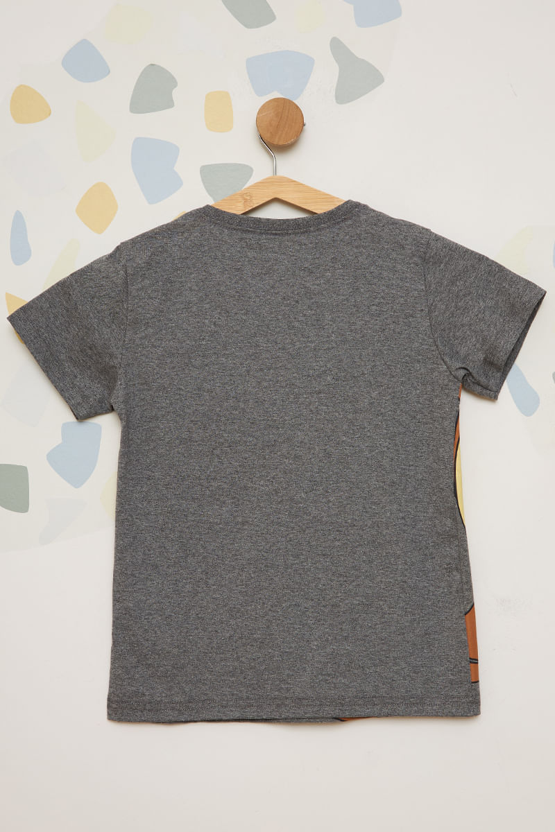 Camiseta-Juvenil-Masculina-Taz-Mania