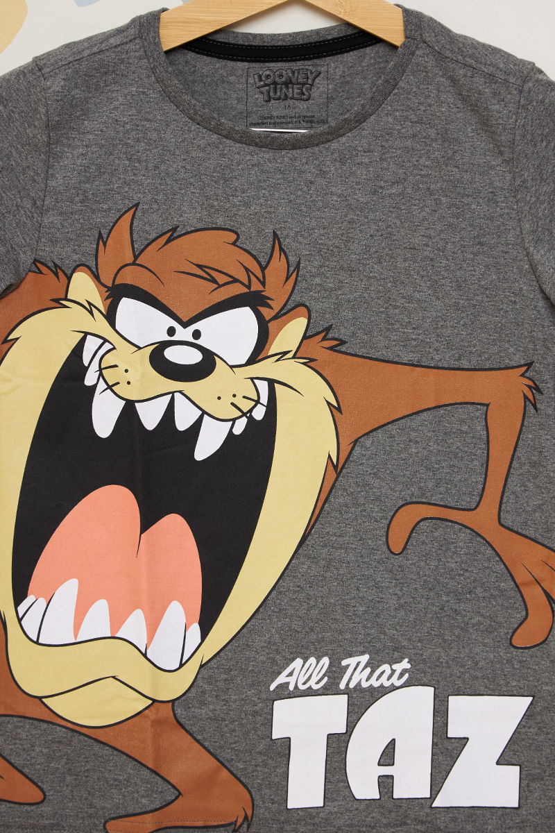 Camiseta-Juvenil-Masculina-Taz-Mania