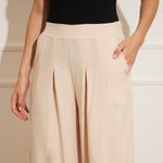 Calca-Feminina-Pantalona-Pregas---Bege