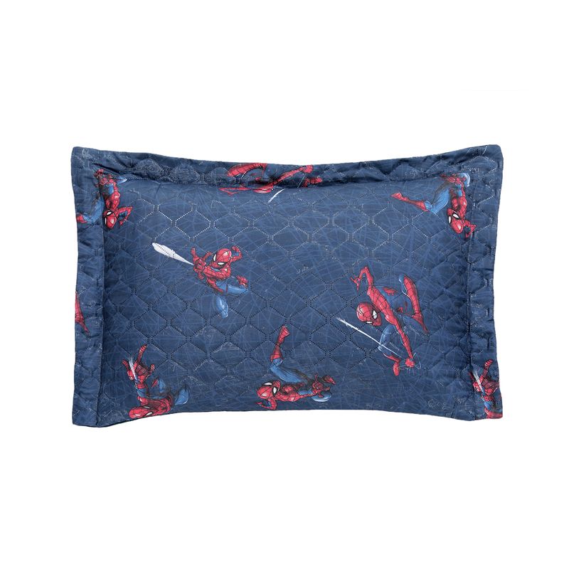 Porta-Travesseiro-Disney-Homem-Aranha-Hedrons