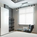 Persiana-Em-Rolo-Duplo-Zebrada-Para-Quarto-E-Sala