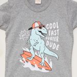 Conjunto-Infantil-Estampa-Dinossauro-Cinza-
