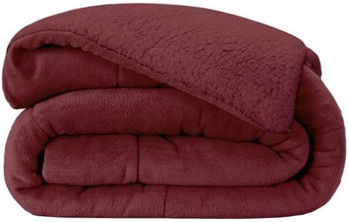 Coberdrom Dupla Face Winter Colors Solteiro Lavive Vinho
